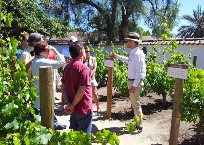 Instrutor da vinícola explica sobre as variedades de uvas presente na vinícola