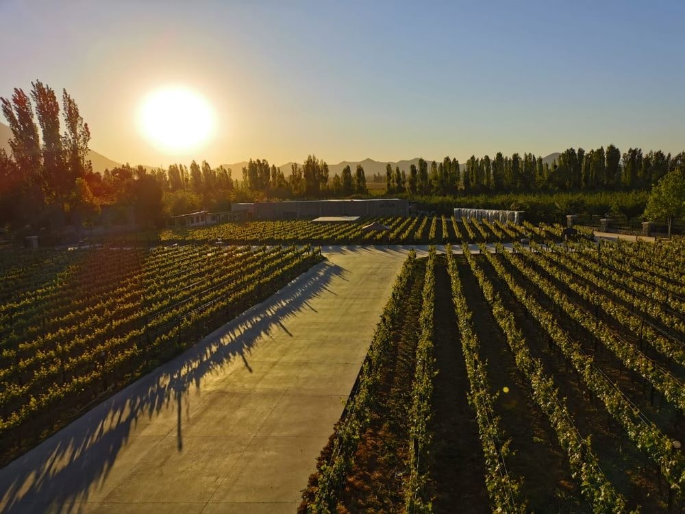 Pôr do sol visto no passeio da vinícola Alyan Sunset